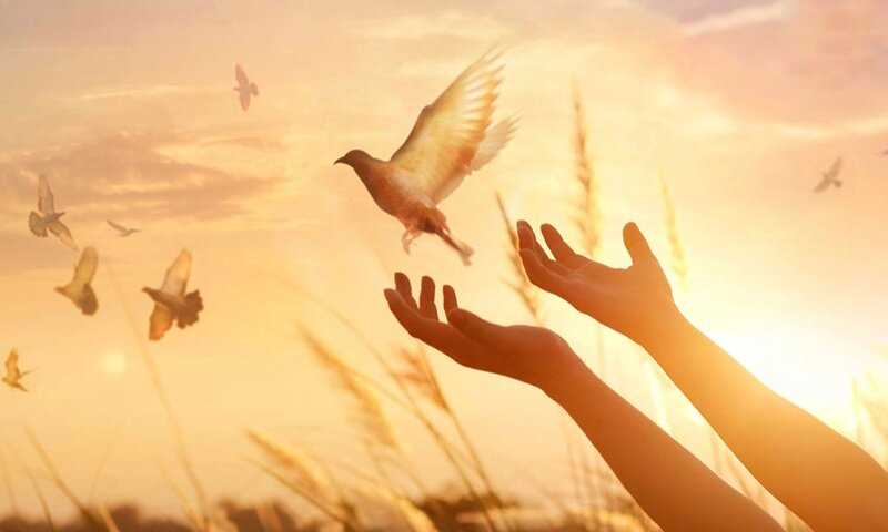 وقتی امام رضا(ع) ضامن می‌شود